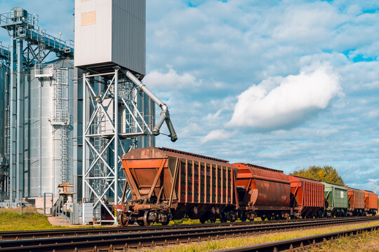 Loading railway carriages with grain at grain elevator