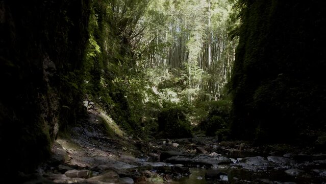 日本の渓谷の風景、固定カメラ、スロー