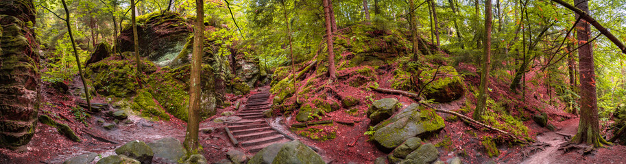 Panoramic over magical enchanted fairytale forest with fern, moss, lichen and sandstone rocks at...