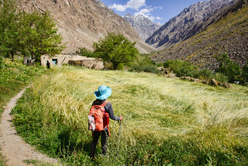 Wheat fields in the beautiful village of Jizeu, Bartang Valley, Tajikistan