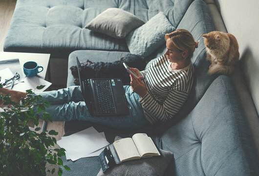 High Angle View Of People Working At Home