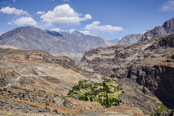 Fototapeta na wymiar Settlement in Bartang valley, Tajikistan, Central Asia