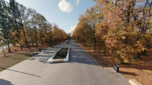 FPV drone view of Alley in the autumn city park next to the road and buildings in city. People are walking. The leaves on the trees are orange, yellow and red. There are many fallen leaves on the grou