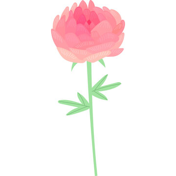 prony flower blossom floral clipart png