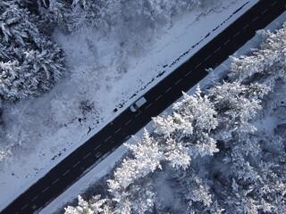 Mañana invernal cubierto de una capa de nieve