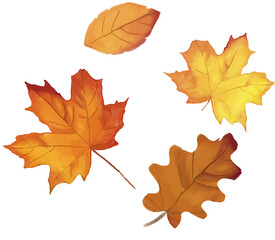 Autumn leaves transparent background png illustration autumn october