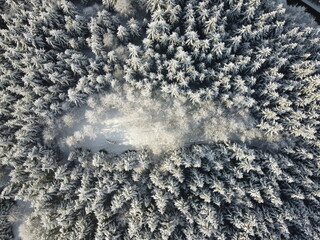 Mañana invernal cubierto de una capa de nieve