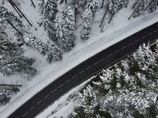 Mañana invernal cubierto de una capa de nieve