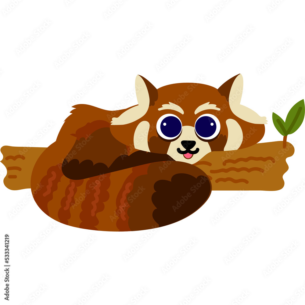 Wall mural red panda animal zoo nature life