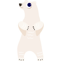 polar bear animal zoo nature life