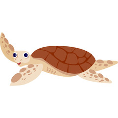 sea turtle animal zoo nature life