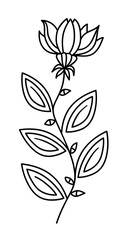 Floral line art decoration with black thin line, PNG with transparent background