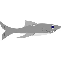 shark animal zoo nature life