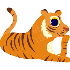 tiger animal zoo nature life