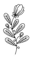 Floral line art decoration with black thin line, PNG with transparent background