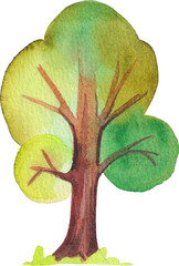 Cartoon Watercolor Illustration. Colorful funny trees and bush