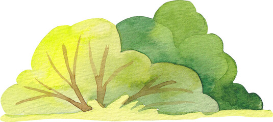 Cartoon Watercolor Illustration. Colorful funny trees and bush