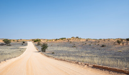 Kalahari Landscape
