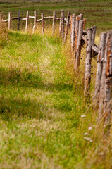 late summer in countryside