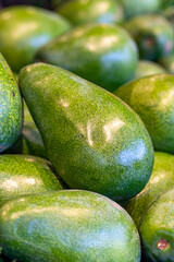 Ripe avocado on the market counter. Exotic fruit. pile of avocado