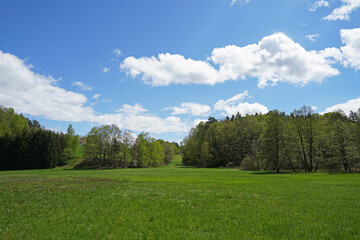 Bohemian Paradise landscape with meadows and forests and blue sky, Czechia