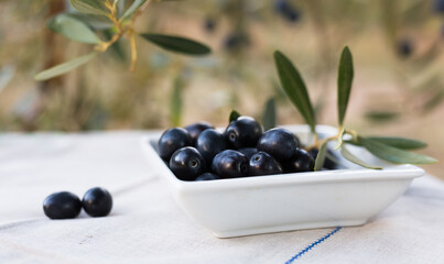 black olives on background of olive branches in garden