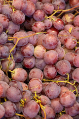 Bunch of grapes on the market counter. Pile of ripe grapes