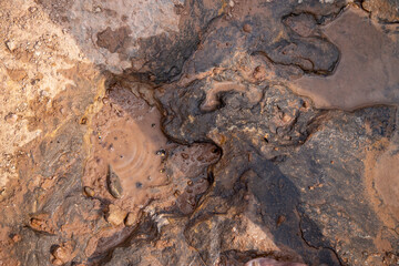 fossilized stone with prehistoric dinosaur foot prints in Lesotho Africa mud surface out of focus...
