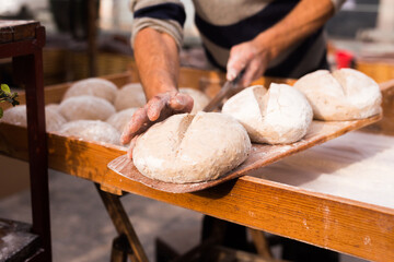 yeast dough in the form of loaves waiting to be cooked