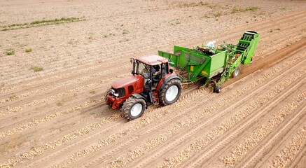 Fototapeta premium red Tractor pulls potato harvesting machine on a field, agriculture, potato cultivation, aerial view, potato, harvest, cultivation, food, supply