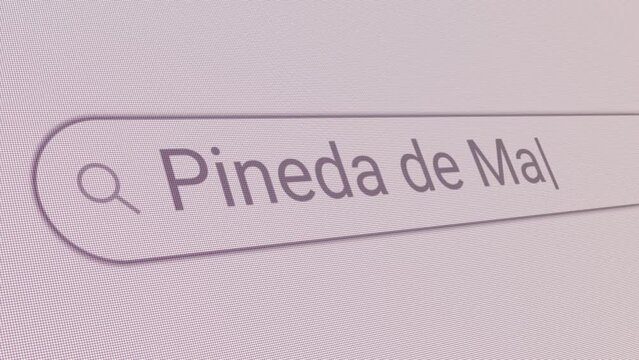 Search Bar Pineda de Mar 
Close Up Single Line Typing Text Box Layout Web Database Browser Engine Concept