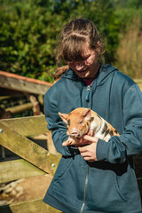 Obraz premium kids playing with piglets in a zoo or on the farm, pet care