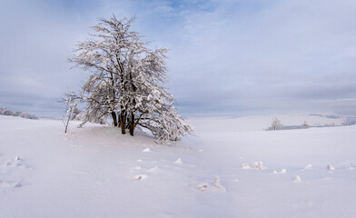 winter in the mountains