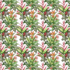 Illustration pattern beautiful tropical background 