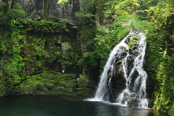 Fototapeta na wymiar Rainforest, Body of water, Flow