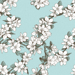 Spring blossom, Apple blossom, seamless pattern with flowers