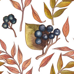 Watercolor colorfull autumn leaves with berries