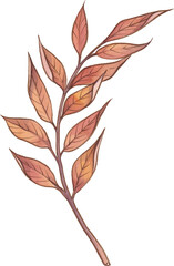 Fototapeta na wymiar Watercolor colorfull autumn leaves with berries