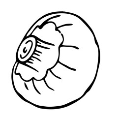 Mushroom illustration line art. PNG with transparent background.