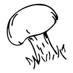 Mushroom illustration line art. PNG with transparent background.