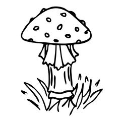 Mushroom illustration line art. PNG with transparent background.