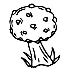 Mushroom illustration line art. PNG with transparent background.