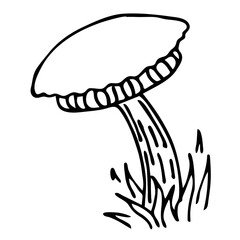Mushroom illustration line art. PNG with transparent background.
