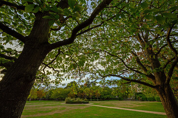 Fototapeta na wymiar A small park with paths leading across a lawn. Seasonal view taken in late summer or early fall (autumn). Wide angle scene framed by trees. 