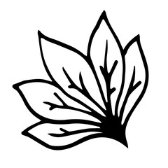 Botanical illustration with black thin line. PNG with transparent background. 
