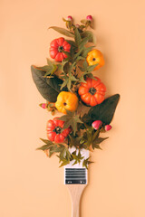 Brush loaded with paint made from natural Autumn decor. Concept image, seasonal Autumn home renovation background in warm green, yellow and orange colors. Deco pumpkins, berry, yellow quince fruits.