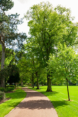 Fototapeta na wymiar Beautiful landscape in a park in Wolverhampton. England