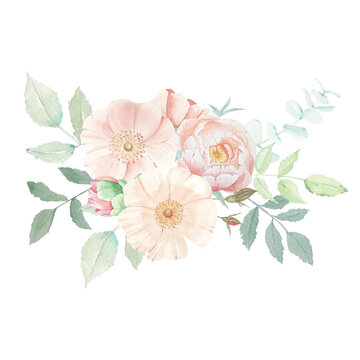 Vintage flowers peony and roses. Watercolor set of vintage flowers bouquets with roses and peony for wedding invintation, cards, pastel colors