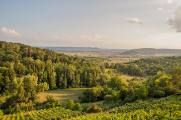 Beautiful landscape of Ammerbuch, Baden-Wuerttemberg, Germany with forest and vineyard during autumn at sunset