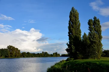 Die Italienische Pappel wird bis zu 30 m hoch und bildet einen schlanken Baum mit fast senkrecht aufragenden Ästen. Die Blätter sind rautenförmig, hellgrün. Im Herbst färben sie sich durch den Fluss gelb © Michal